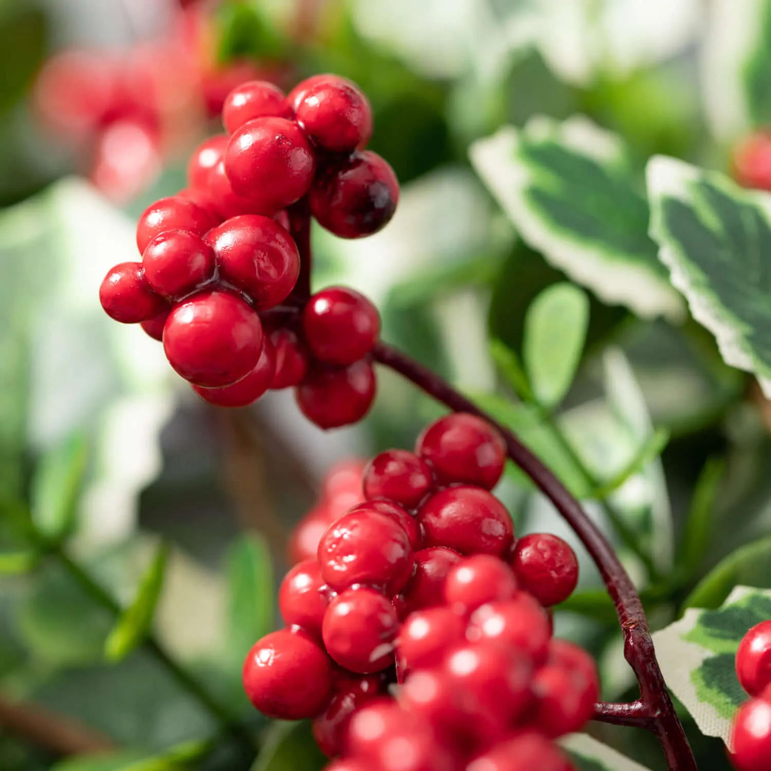 Berry/Holly Spray