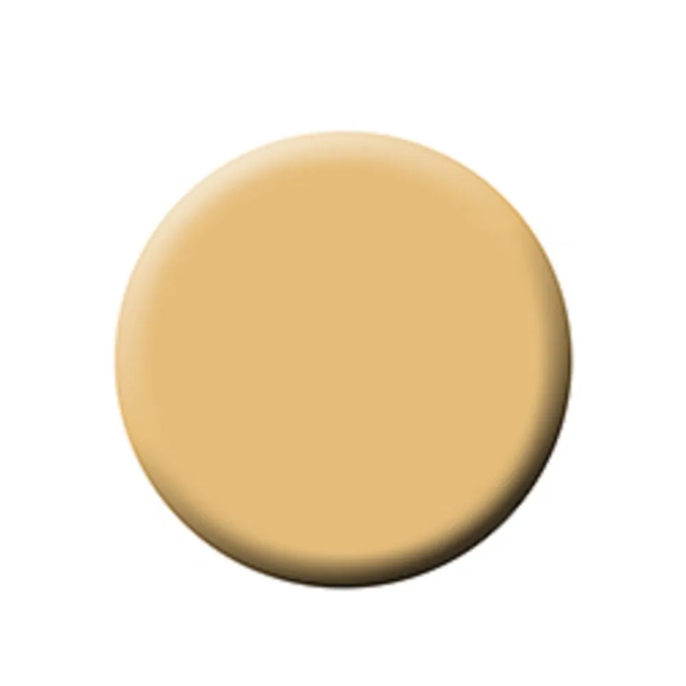 FIXX CREME FOUNDATION - OLIVE REFILLS