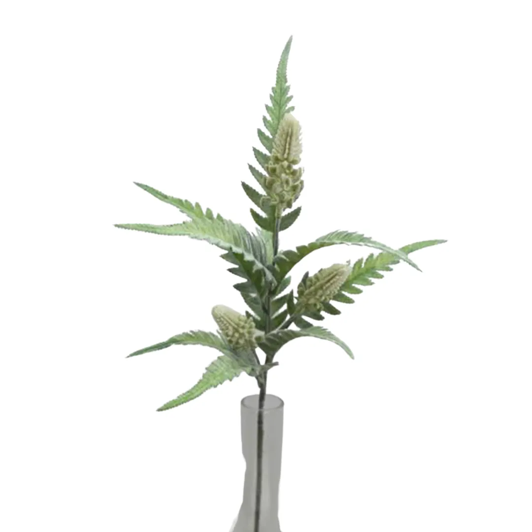 Long Beech Fern Spray, 23", Green