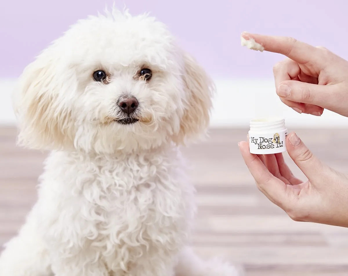 My Dog Nose It Sunscreen 2.5oz