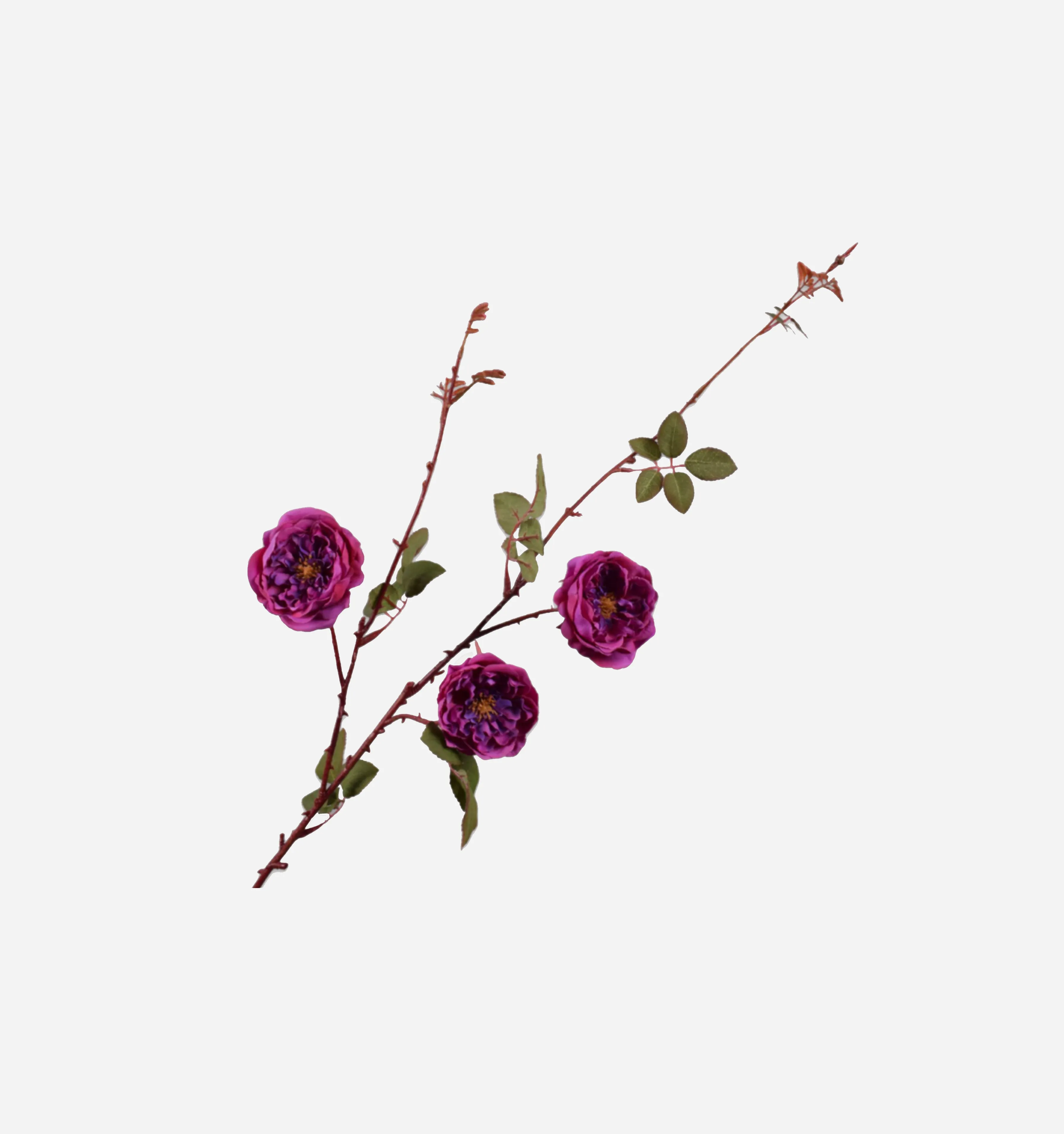 Rose Spray