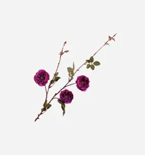 Rose Spray