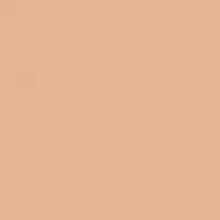 Trans Spa's Mineral Photo Touch Foundation