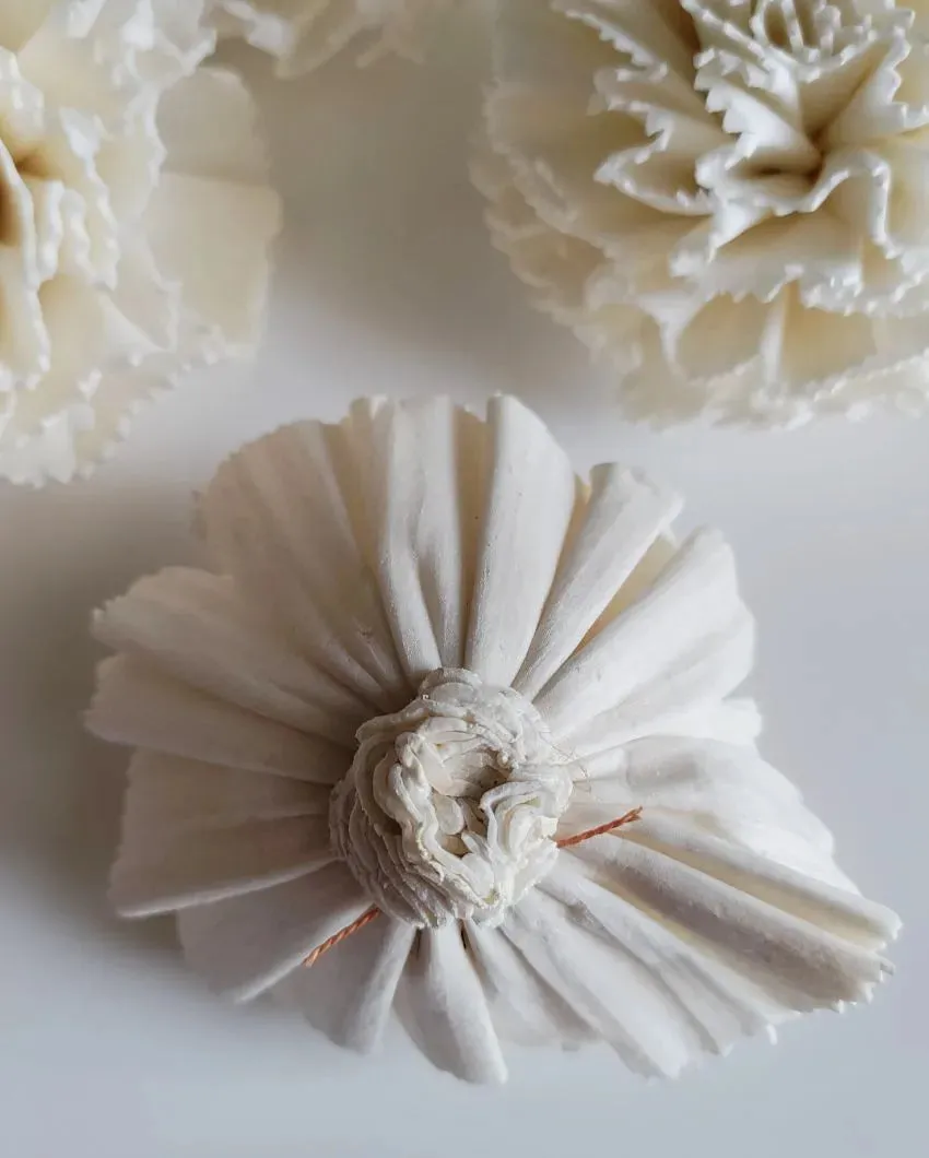 Volga Sholapith DIY Flower Bunch | Vase Not Included | 11 Flower Heads