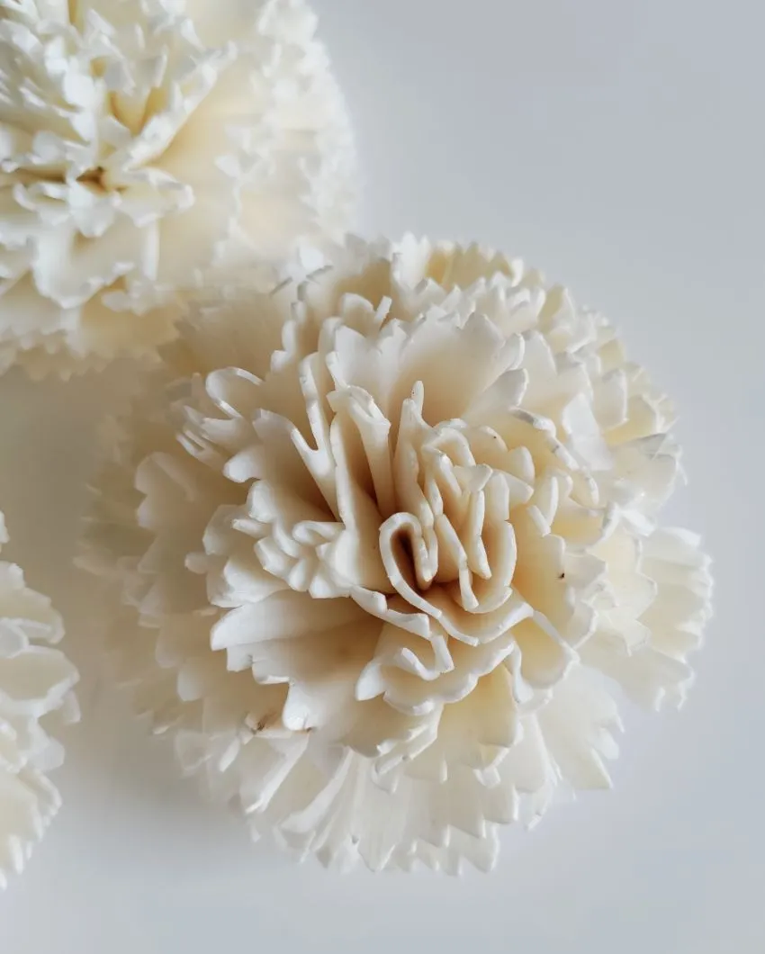 Volga Sholapith DIY Flower Bunch | Vase Not Included | 11 Flower Heads