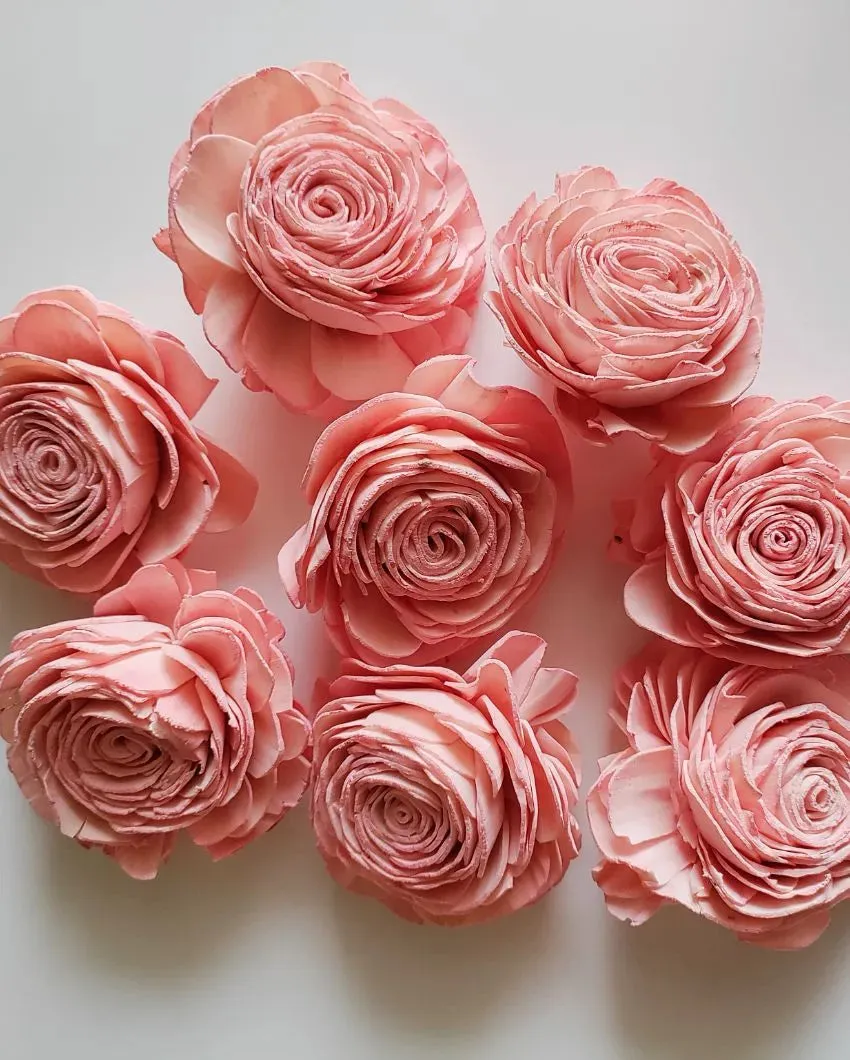 Volga Sholapith DIY Flower Bunch | Vase Not Included | 11 Flower Heads