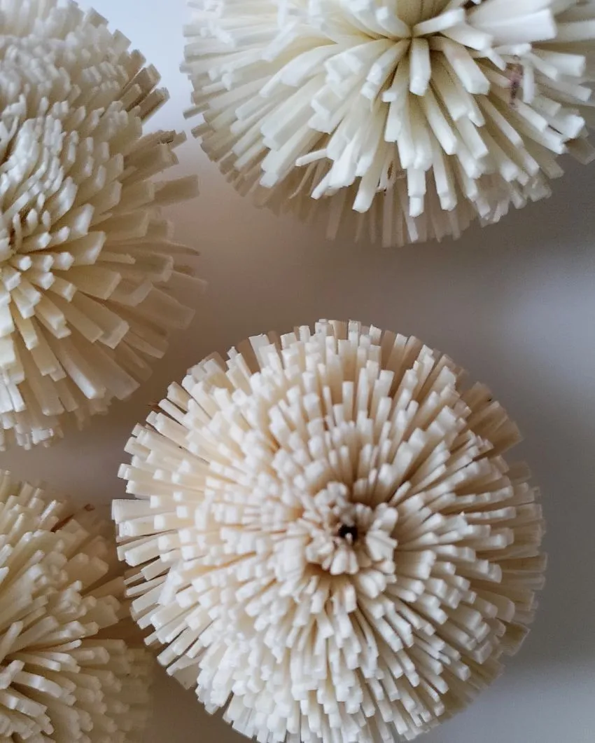 Volga Sholapith DIY Flower Bunch | Vase Not Included | 11 Flower Heads