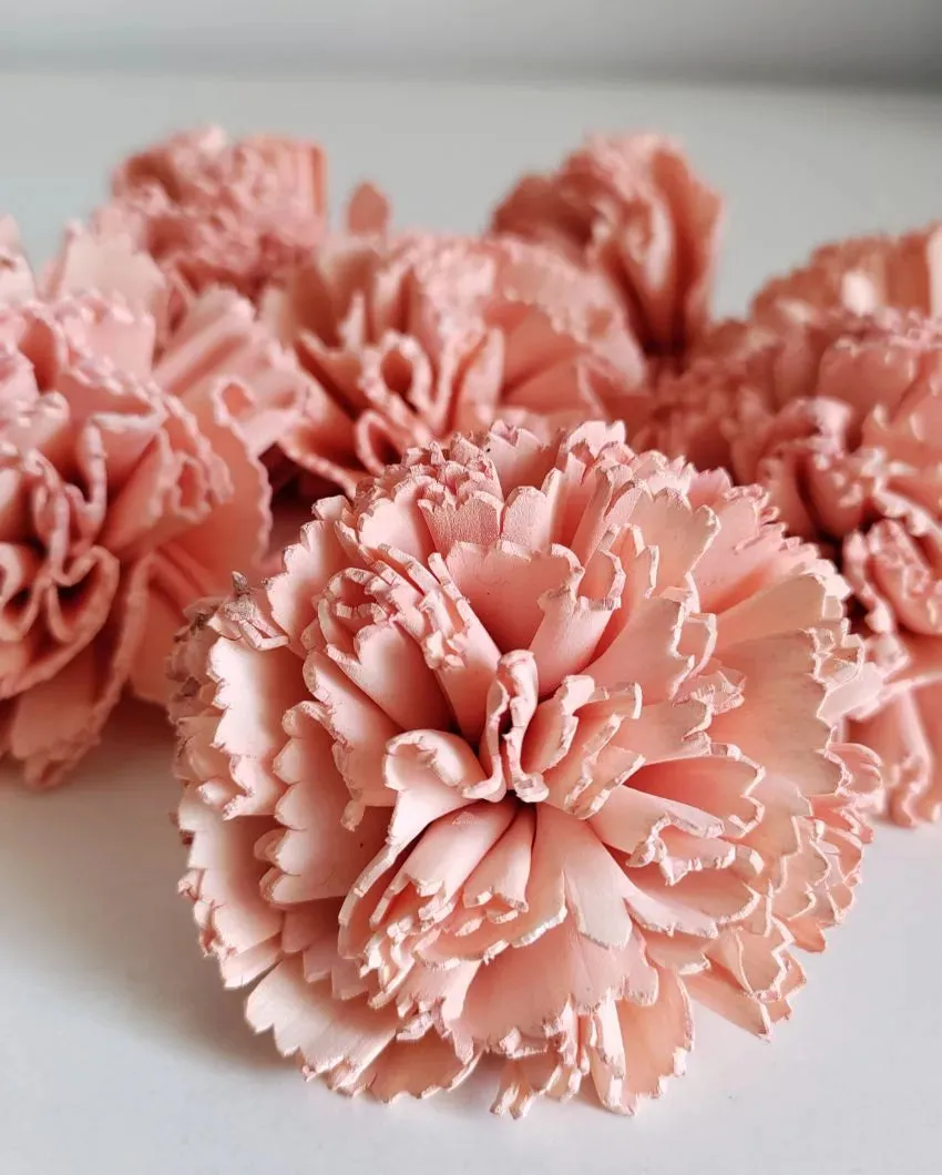 Volga Sholapith DIY Flower Bunch | Vase Not Included | 11 Flower Heads
