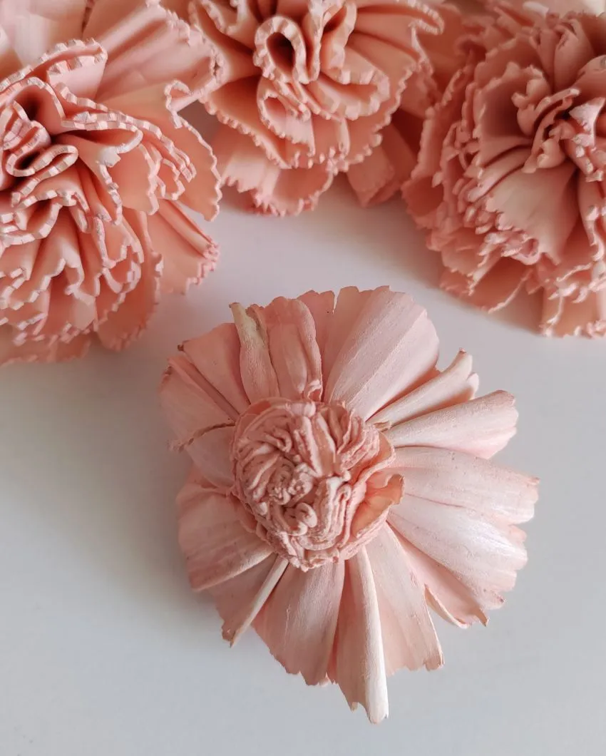Volga Sholapith DIY Flower Bunch | Vase Not Included | 11 Flower Heads