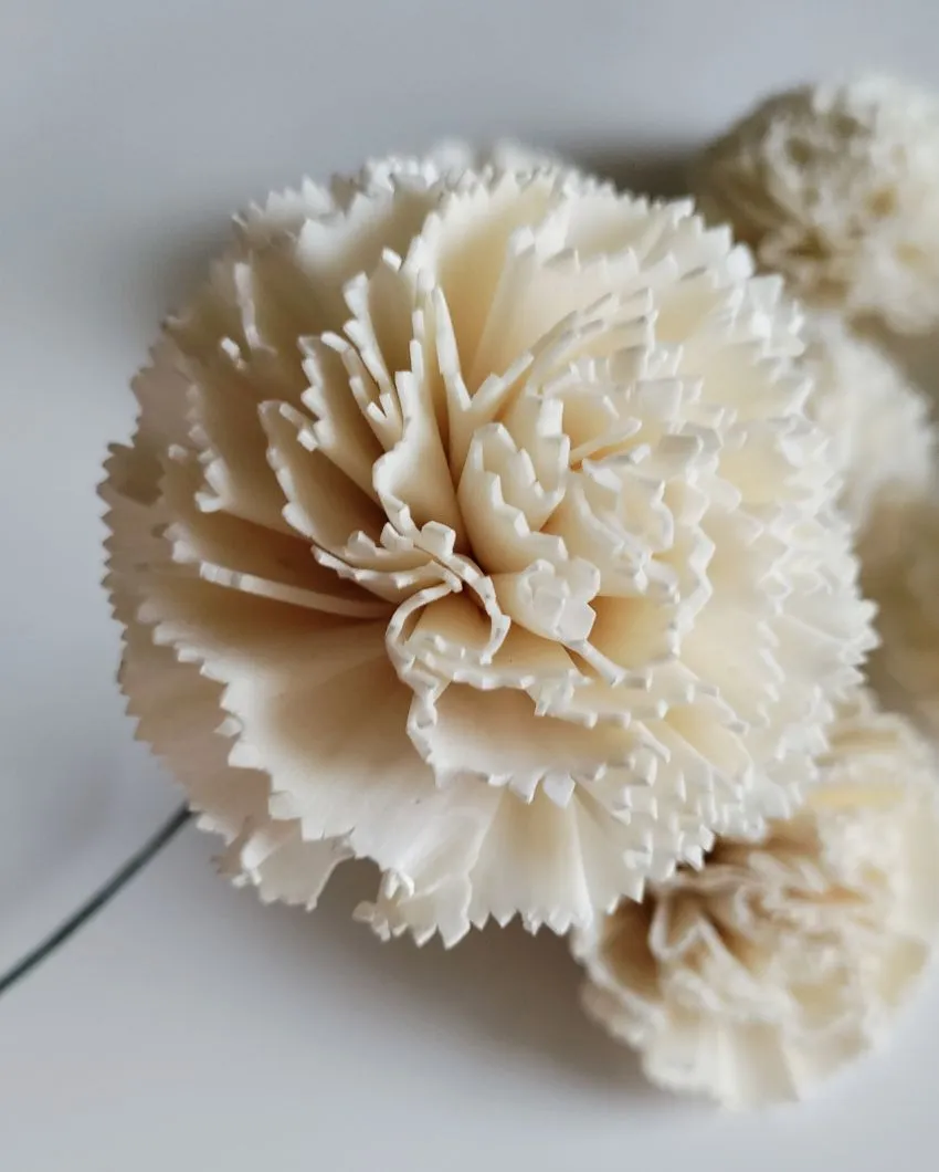 Volga Sholapith DIY Flower Bunch | Vase Not Included | 11 Flower Heads
