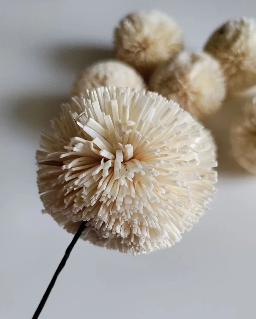 Volga Sholapith DIY Flower Bunch | Vase Not Included | 11 Flower Heads
